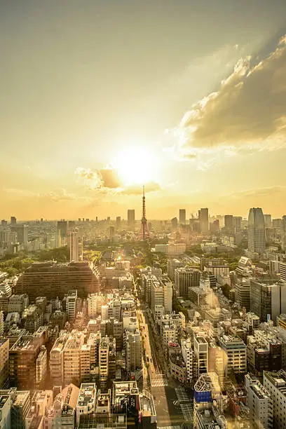Tokyo megacity skyline with the sunsetting behind the Tokyo Tower. Tokyo is the capital of Japan.