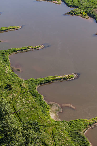 vista aérea del puente sobre río odra - odra river fotografías e imágenes de stock