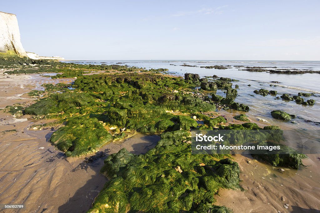 Botany Bay in Kent, England Beautiful scenery in Botany Bay in Kent Beach Stock Photo