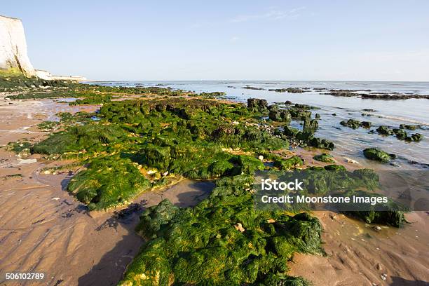 Botany Bay In Kent England Stock Photo - Download Image Now - Beach, Beauty In Nature, Botany Bay - Kent