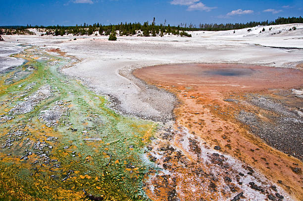 norris geyser basin, yellowstone national park, etats-unis - geothermy photos et images de collection