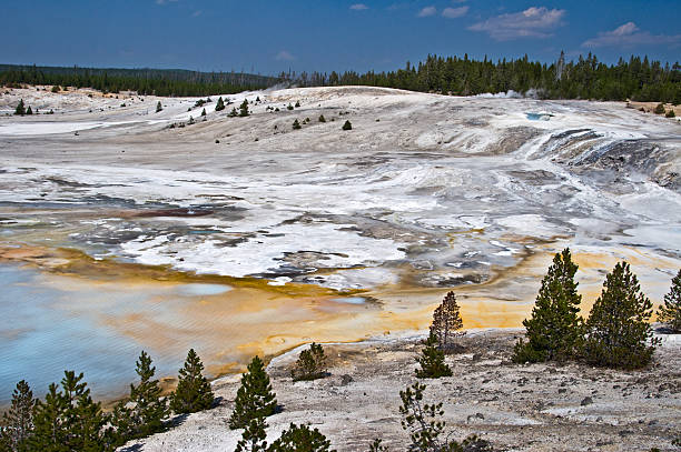 norris geyser basin, yellowstone national park, etats-unis - geothermy photos et images de collection