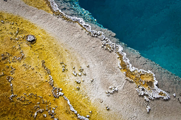 sources chaudes près du lac yellowstone et le parc national de yellowstone - geothermy photos et images de collection