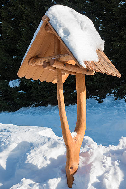 istock Birdhouse in winter 506104112