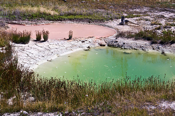 sources chaudes près du lac yellowstone et le parc national de yellowstone - geothermy photos et images de collection