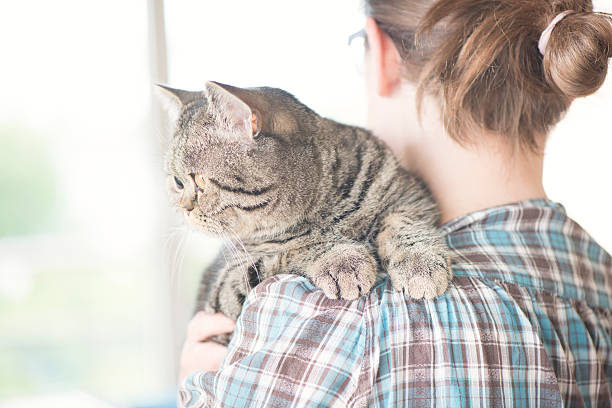 istock Woman holding tabby cat on shoulder at home 506104456