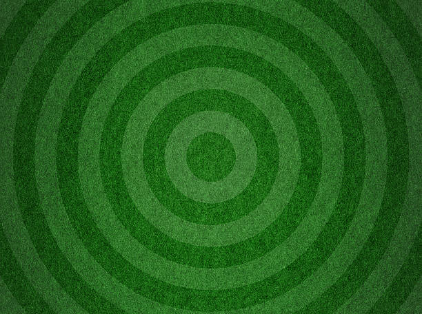 istock Green grass soccer field background textured 506106079