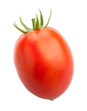 plum tomato isolated