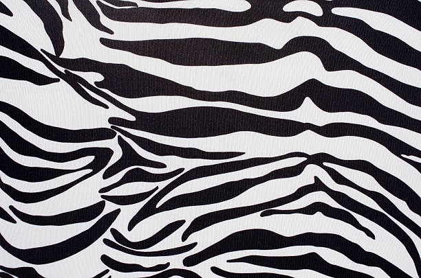 istock black and white striped knit fabric 506106515