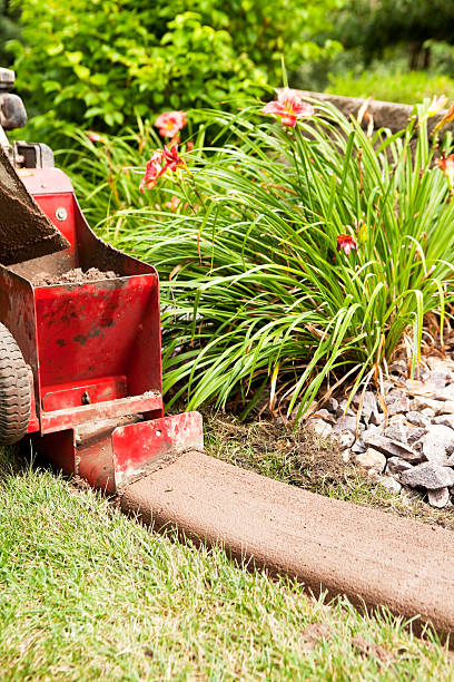 istock Installing Concrete Edging / Curbing Between Lawn and Landscaping 506108009