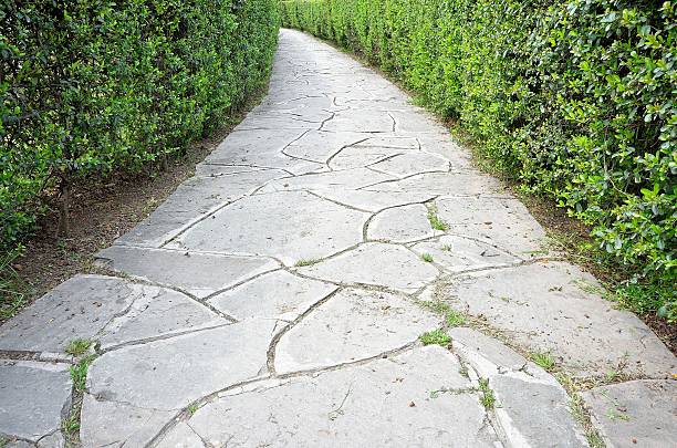 istock Stone brick footpath in the garden 506117704