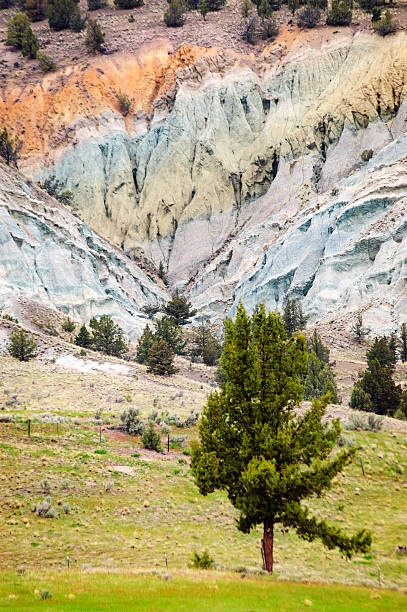 istock John Day Fossil Beds National Monument 506118508