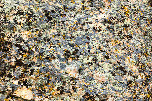 istock John Day Fossil Beds National Monument 506118642