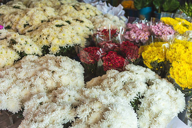istock flower in flower's market 506118884