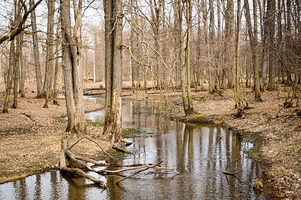 Jamestown Audubon Center and SanctuaryJamestown Audubon Center and Sanctuary
