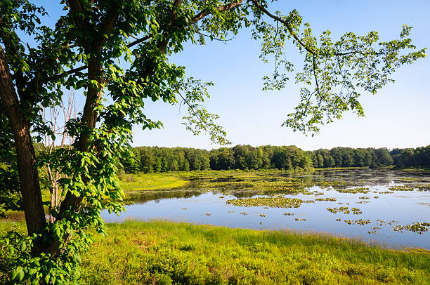 istock Jamestown Audubon Center and Sanctuary 506119256