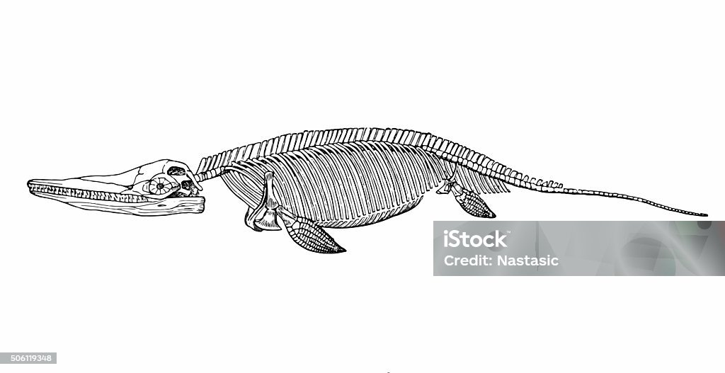 Ichthyosaurus Antique illustration of Ichthyosaurus Dinosaur stock illustration