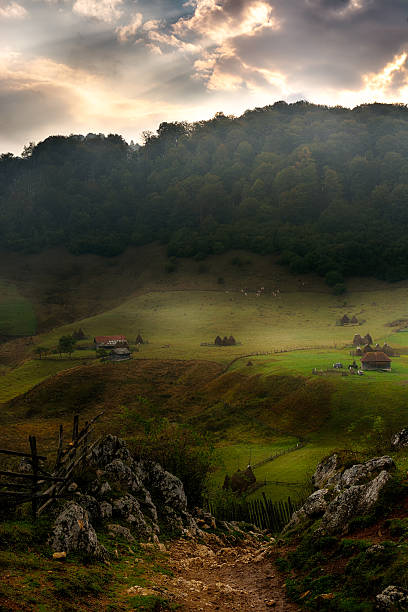 istock mountain landscape in summer morning 506119762