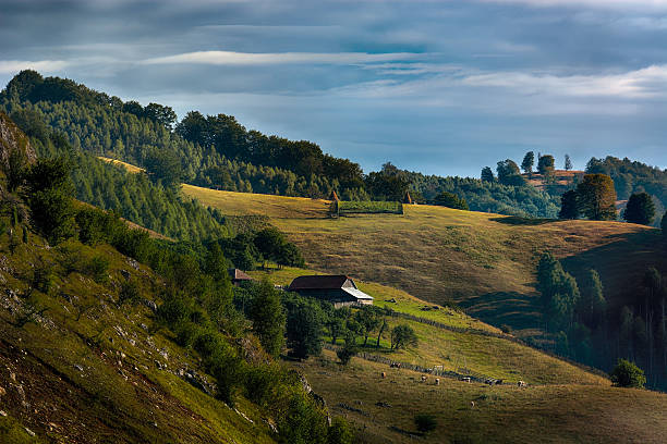 istock mountain landscape in summer morning 506121058