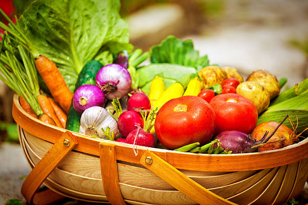 estate giardinaggio raccolta di verdure fresche in cesto di mercato - farmers market agricultural fair agriculture beet foto e immagini stock