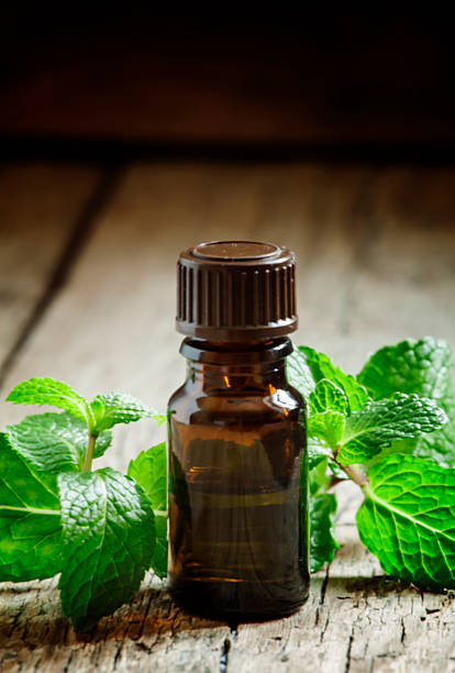 istock Essential oil of peppermint in a small brown bottle 506124824