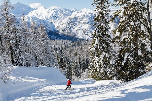 verschneite landschaft mit der julianische alpen - slowenien stock-fotos und bilder