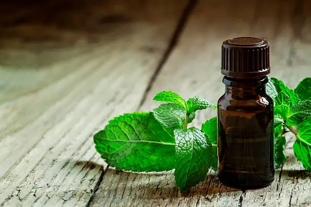 Essential oil of peppermint in a small brown bottle with fresh green mint on an old wooden background, selective focus