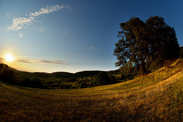 istock Transylvania, Maramures, sunset on wild hills. 506130464