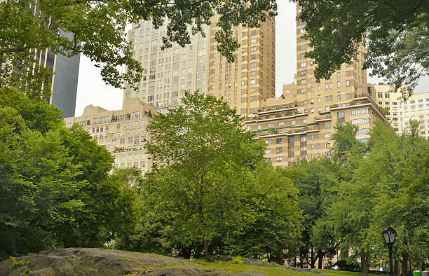 istock Tree canopy at Central Park, New York 506130766