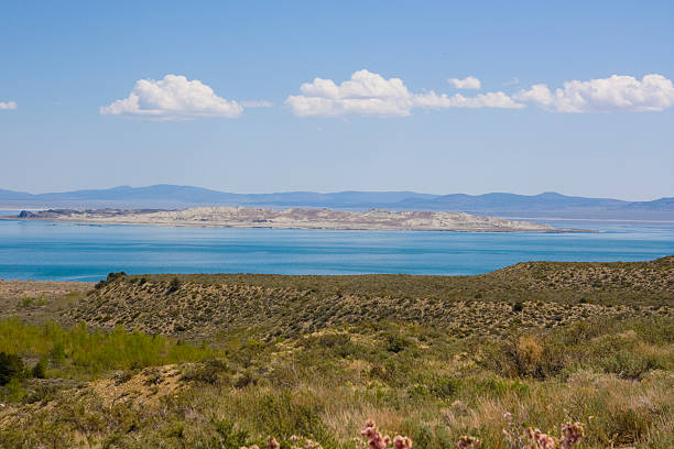istock Tufa formations at Mono Lake 506130983