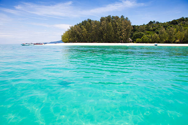 istock beach and tropical sea 506131295