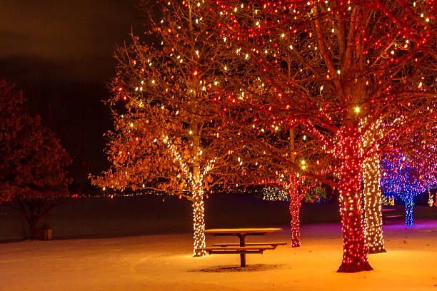 istock 2012 Trail of Lights 506131763
