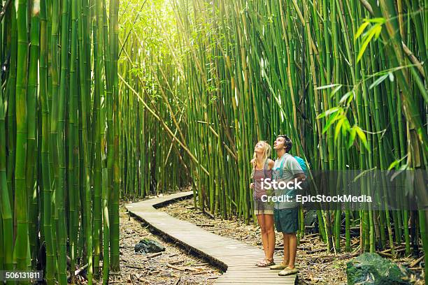 Couple Hiking Through Bamboo Forest Stock Photo - Download Image Now - Activity, Adult, Adventure