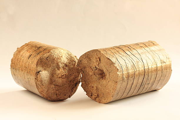 istock Fractured wood briquette 506132694