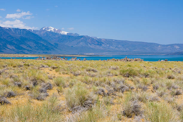 istock Tufa formations at Mono Lake 506132963