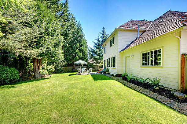 istock SUny green backyard with yellow hosue. 506134171
