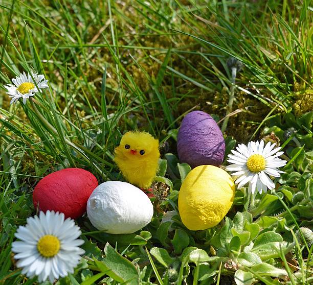 istock Easter Eggs with little chicken on a green grass 506135662
