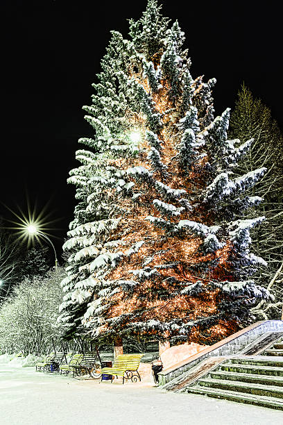 Snow-covered Christmas tree with colorful garlands