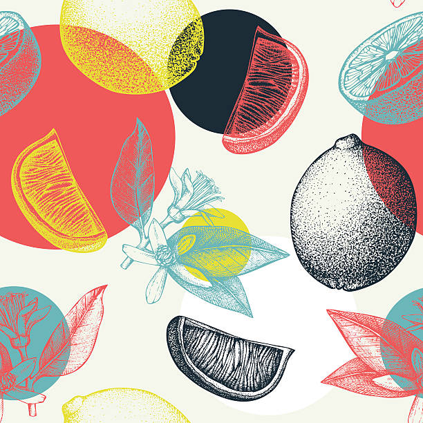Absrtact citrus background Vector seamless pattern with ink hand drawn lime fruit, flowers, slice and leaves sketch. fruit designs stock illustrations