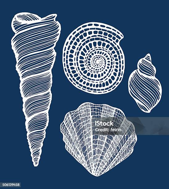 Shells Together Vector Vector Handdrawn Shell Set Stock Illustration - Download Image Now ...