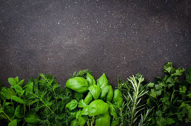 erbe su sfondo scuro - parsley spice herb garnish foto e immagini stock