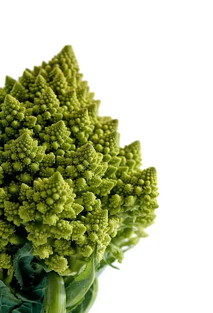 Photo of Decorate broccoflower - brocolli isolated on white background