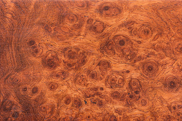 istock background and texture of Macro Ormosia wood 506151964