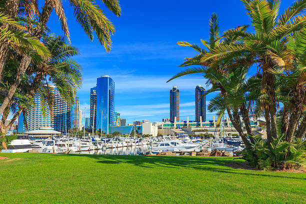 istock San Diego Skyline, California 506152555