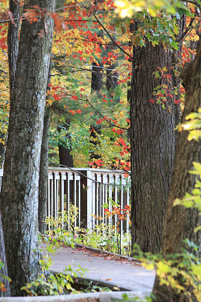 istock Colors of autumn 506153329
