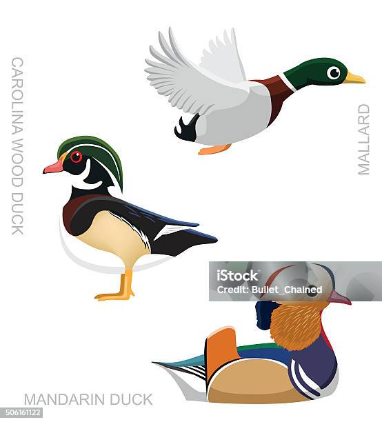Bird Duck Set Cartoon Vector Illustration Stock Illustration - Download Image Now - Wood Duck, Cartoon, Flying
