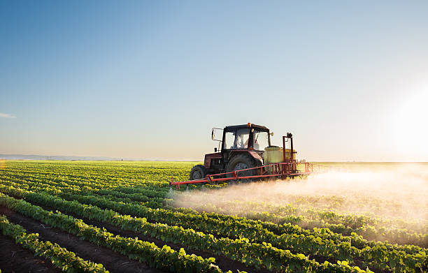 tractor напыления соя поле - spraying crop sprayer farm agriculture стоковые фото и изображения
