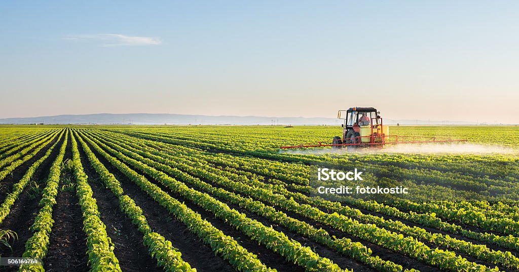 Tractor spraying soybean field Tractor spraying soybean field at spring Agriculture Stock Photo