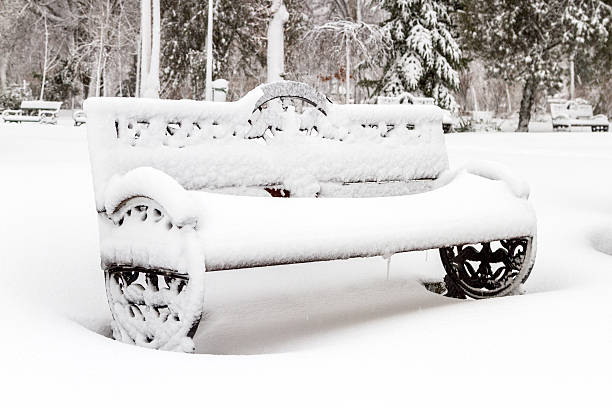 Banco del parque cubierto de nieve - foto de stock