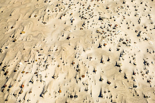 istock Pebbles on the beach, pebbles texture background. 506168226